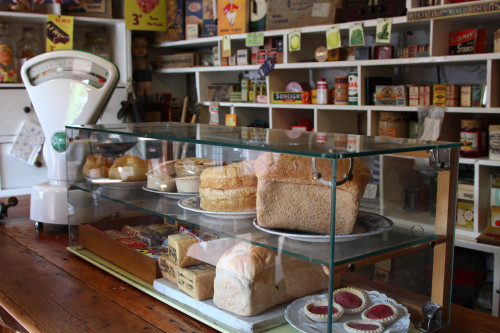 11月のレッスン