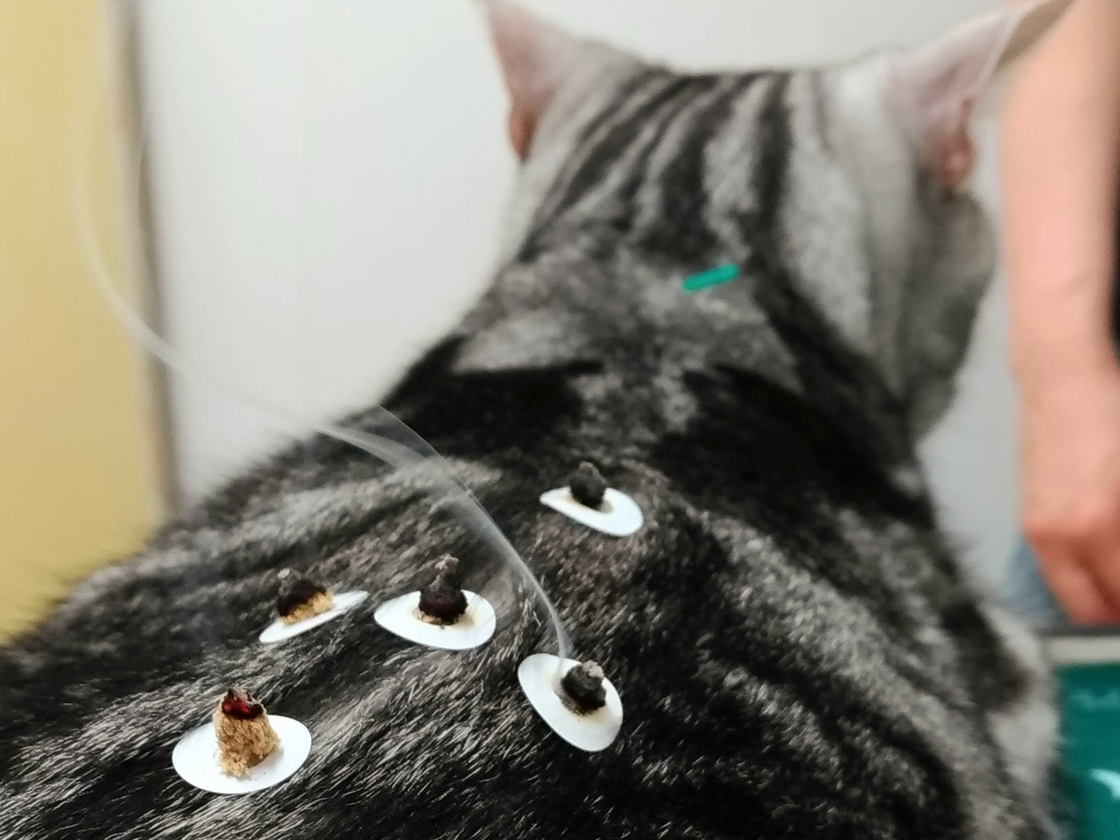 鍼灸で自ら治す力を引き出します