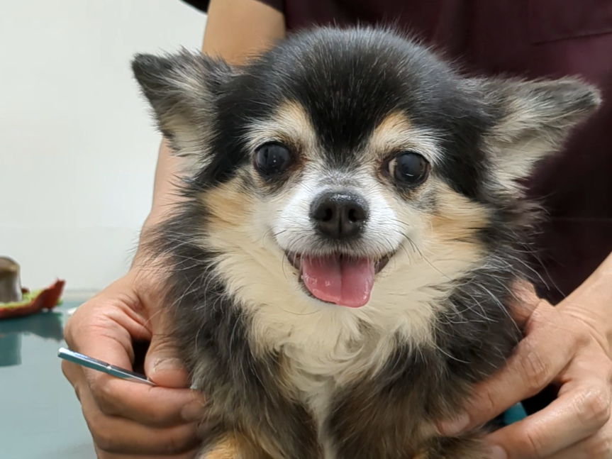 心地よい鍼灸で健康なからだへ