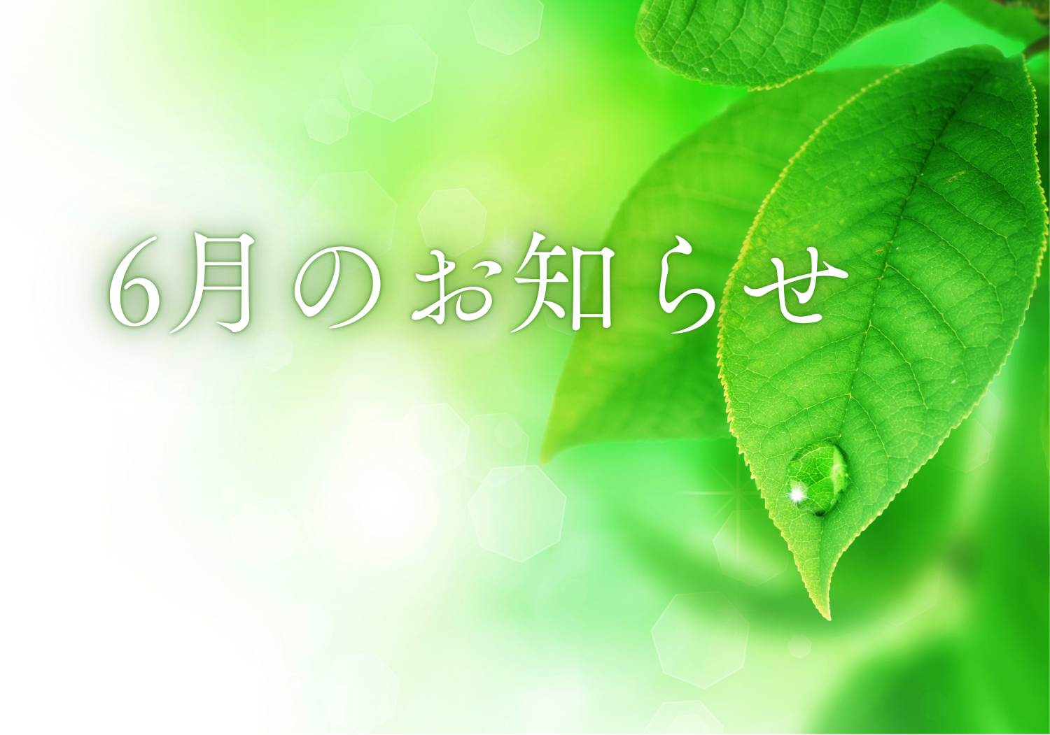 6月のお知らせ