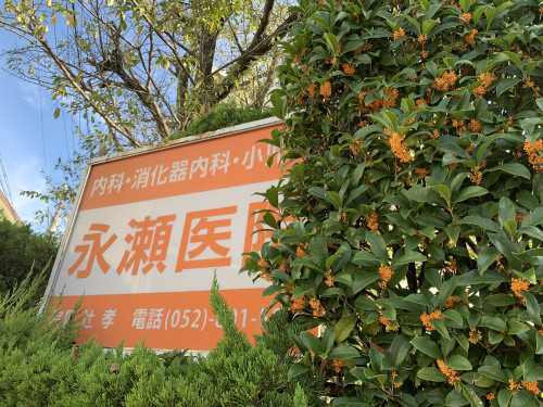 ✨予約受付中✨ インフルエンザの予防接種💉