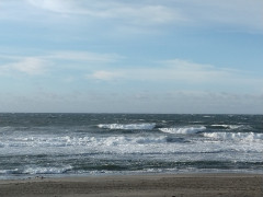 7時半のロングビーチ