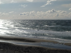 9時のロングビーチ