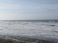 7時のロングビーチ