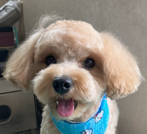 堀江 ムックちゃん