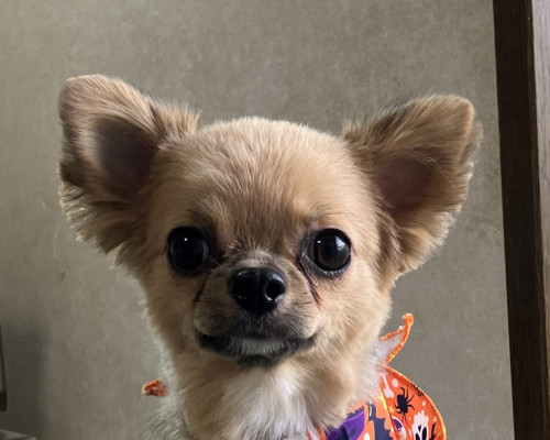 山口 シンバくん