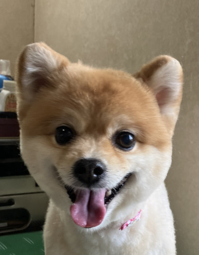 お友達