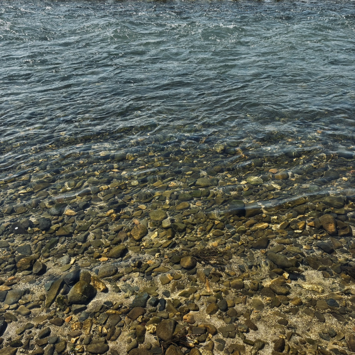 ゆく河の流れは絶えずして、しかももとの水にあらず