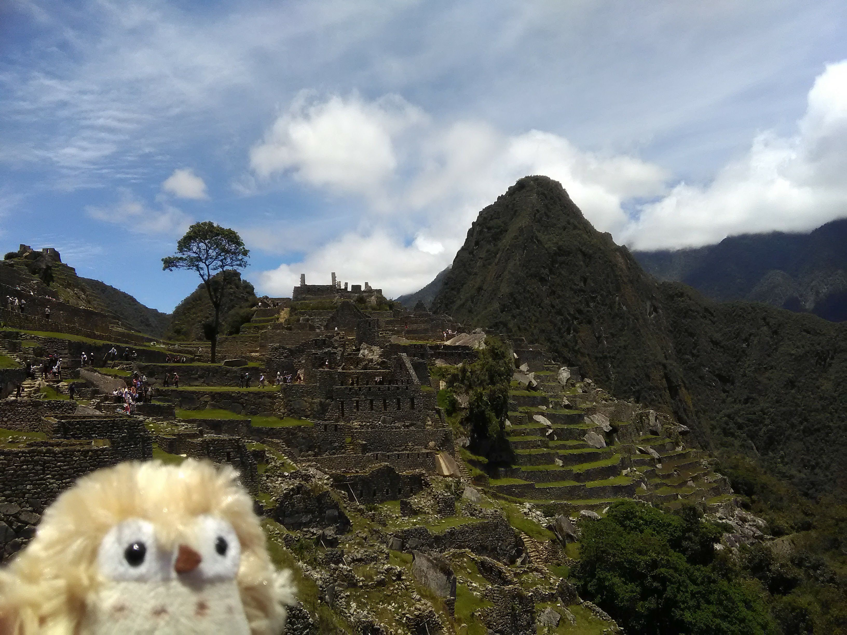 ペルーの旅 の巻