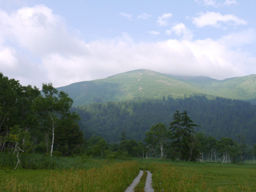 2020年尾瀬の入山について