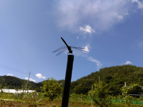 標高900mは秋の装い の巻