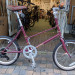 MIXTE F SILVER EDITION(ROUGE) (1).jpg