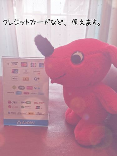 クレジットカード決済始まりました。