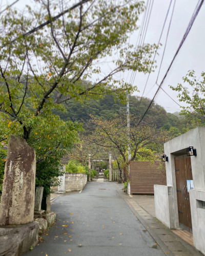 2DF35AFA-EA84-4FE3-90FD-D266F8396388.jpeg