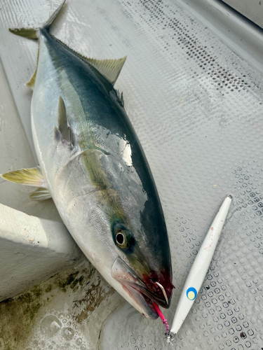 寒鰤ジギング🐟