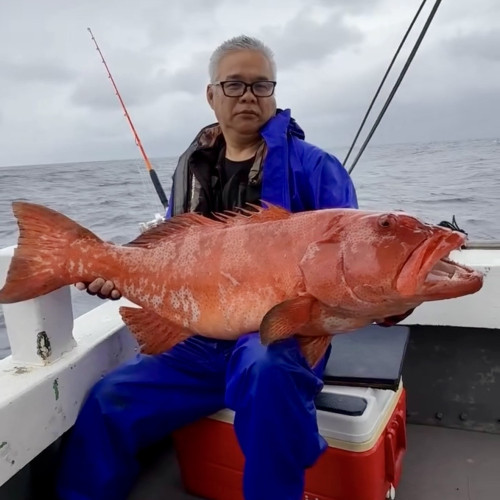 西表島泳がせ釣り
