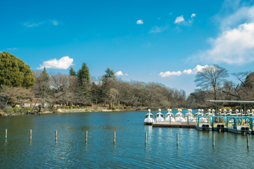 プラウドマガジン吉祥寺