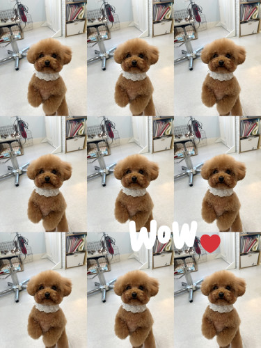 アムちゃんの好奇心は止まらないね👀