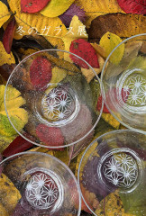 志賀英二・まつださゆり 冬のガラス展