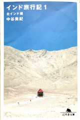 インド旅行記 1 北インド編