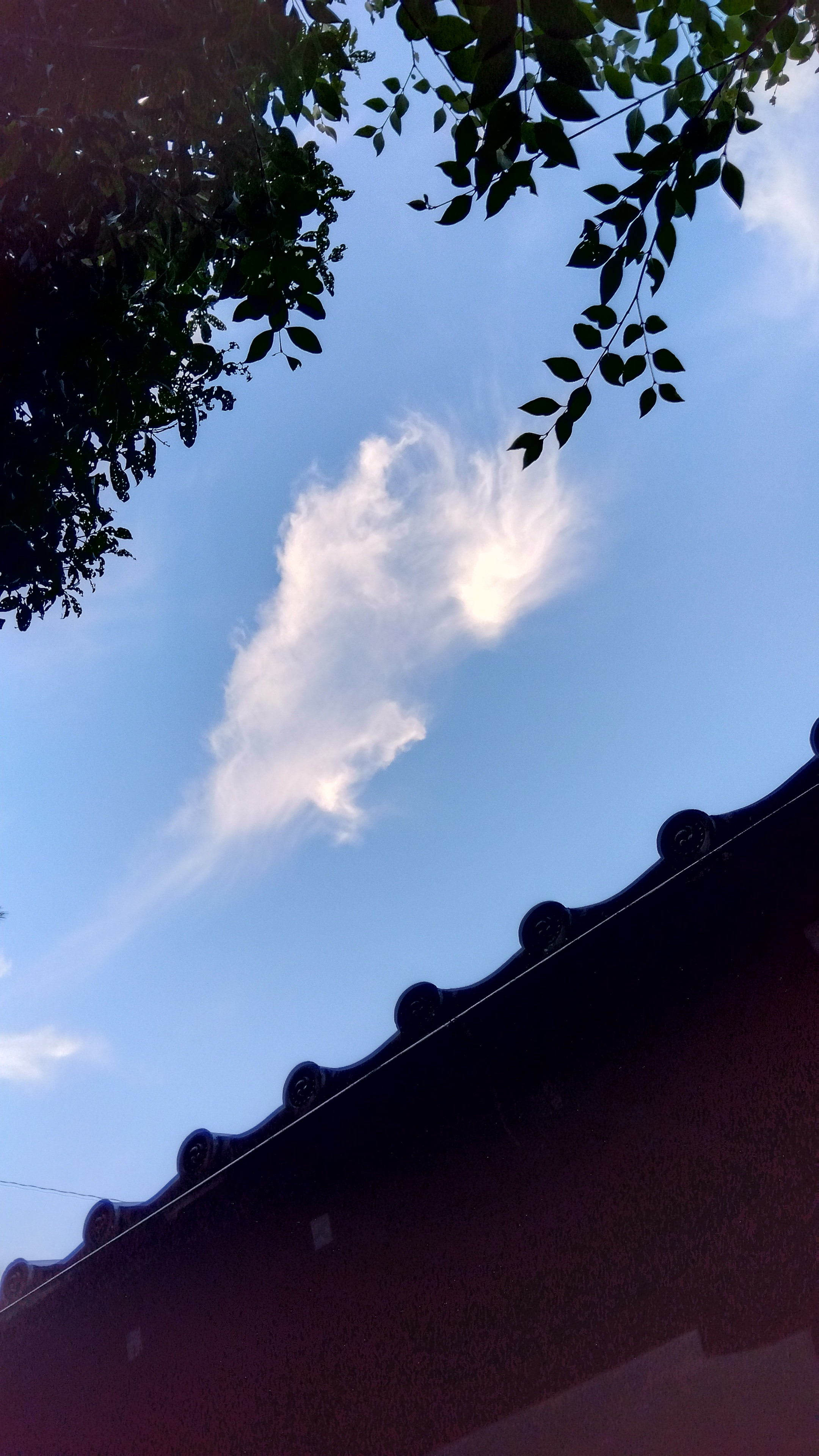 2023年12月30日ドラゴンのような雲(御辰稲荷神社上空)