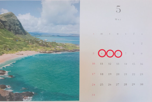 5月のスケジュールです！！