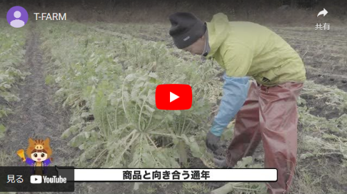 <T-FARM>大仙市商工会販路開拓ナビサイト 掲載事業者紹介
