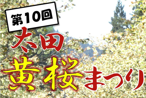【5/3開催】第10回太田黄桜まつり開催!!!