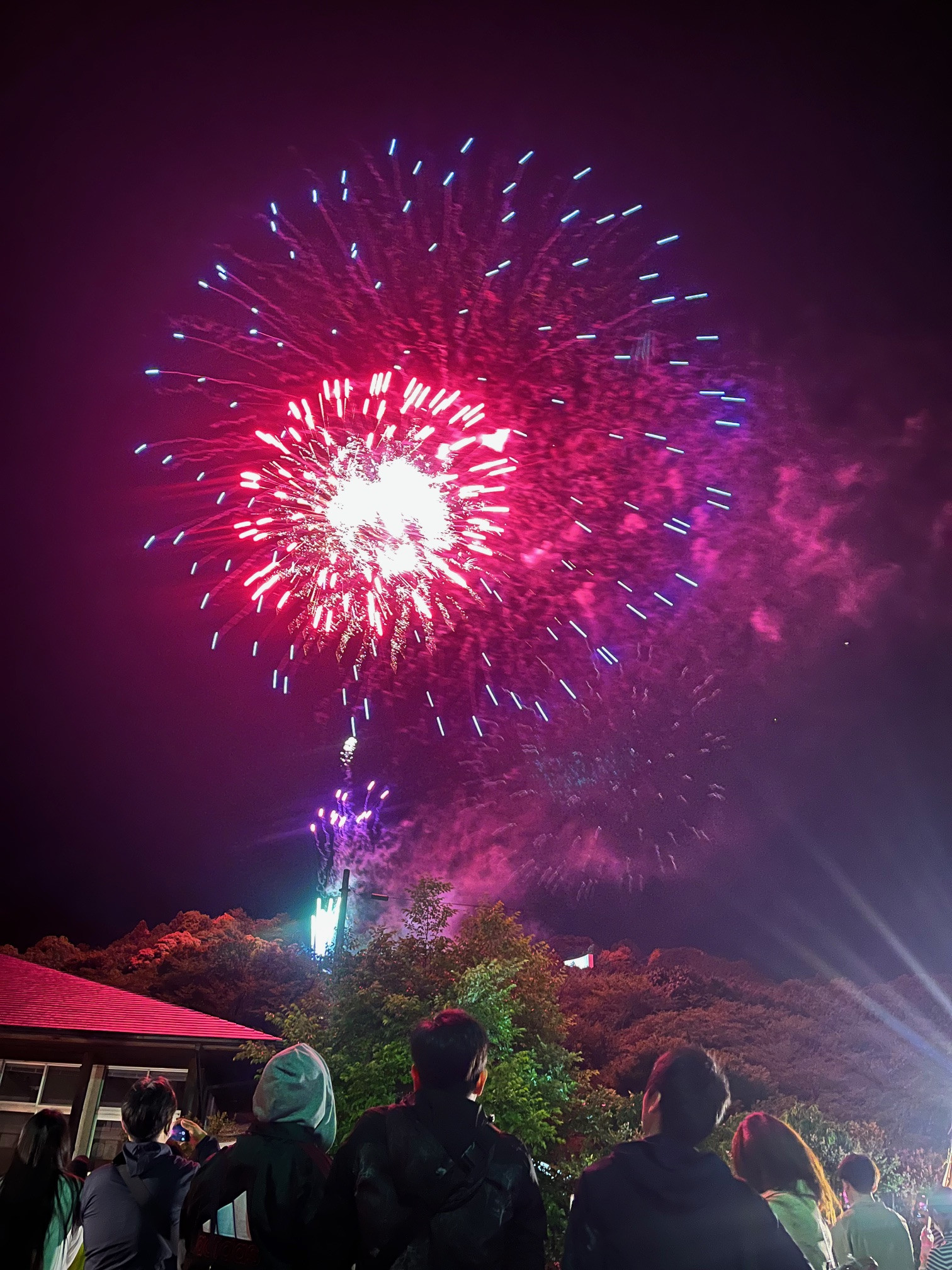 「世界無名戦士之墓慰霊大祭花火大会」の挙行について