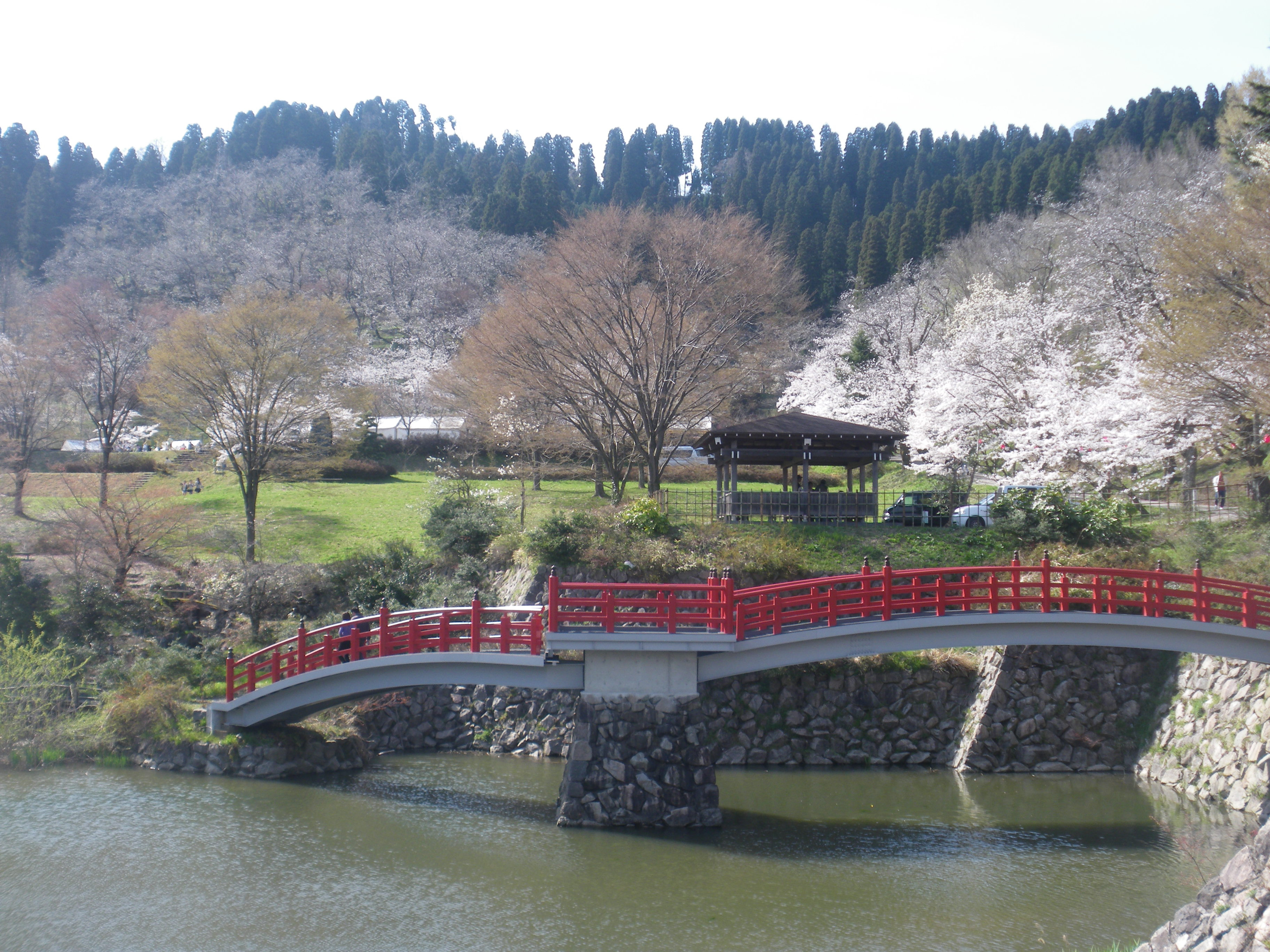 城山 お花見祭り