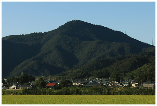 cou04-11.jpg