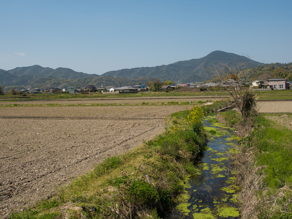 nature02-1.jpg