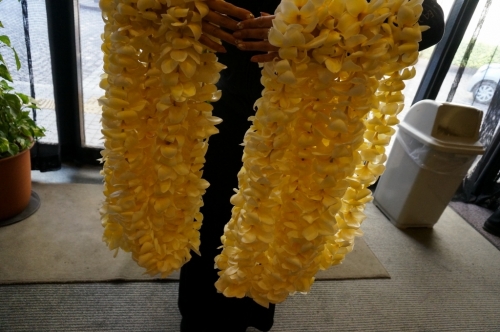 DSC08096 (1024x680).jpg