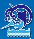 第36回日本最西端与那国島国際カジキ釣り大会 出店募集について