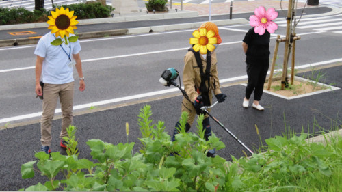 草刈り🍃