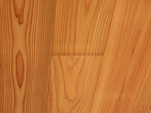 PA293586.JPG