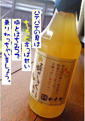 蜂のしずく[希釈タイプ]300ml - かせや味噌