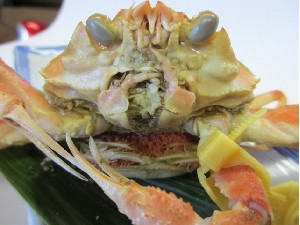 越前せいこ蟹