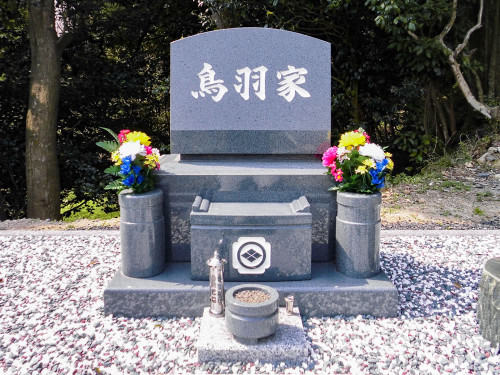 CIMG0917.jpg