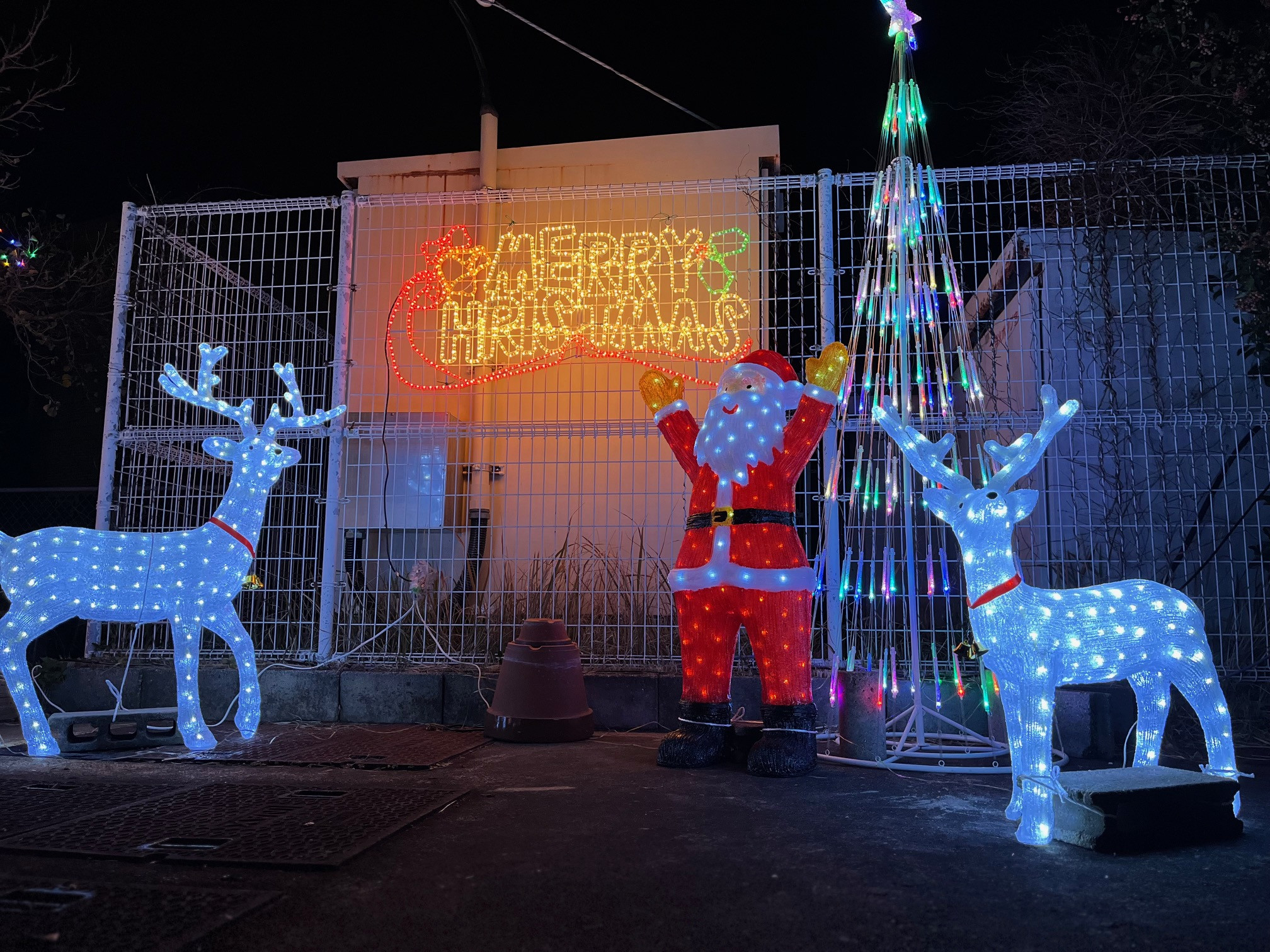 お知らせ > 2025-12 - ぽっぽ物産館