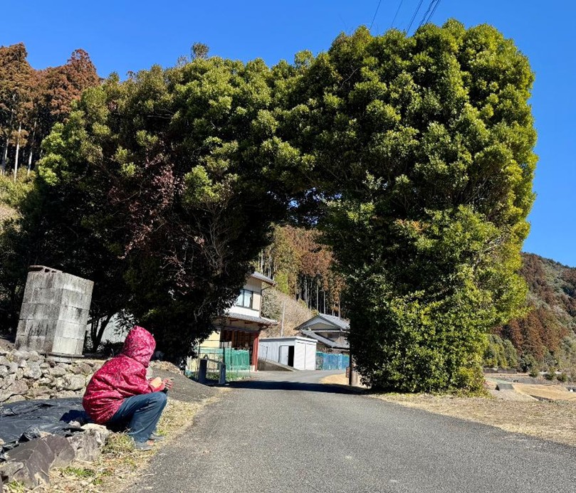 uemura_11.jpg