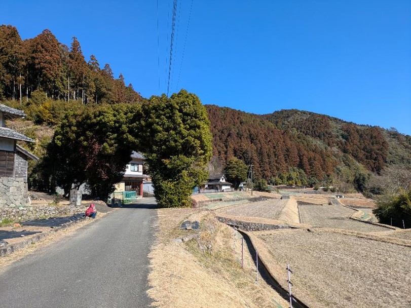 uemura_1.jpg