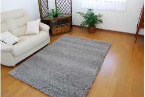 ホルス　１４０Ｘ２００　グレー　　￥４４，１００