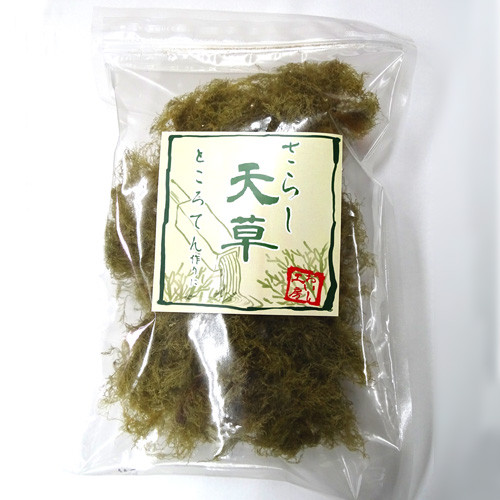 『天草』ところてん作りに！