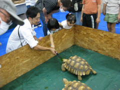 s-IMG_0049.jpg