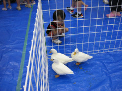 s-IMG_0043.jpg