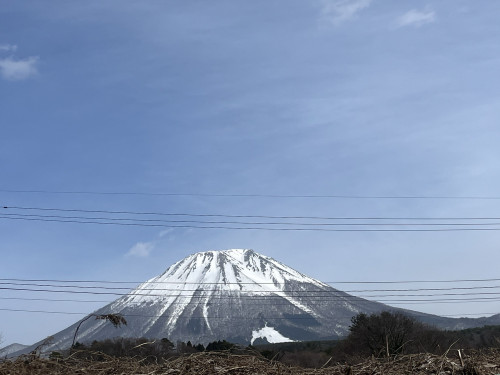S__34234377.jpg