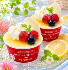 レアチーズ　１ケ460円(税込496円)