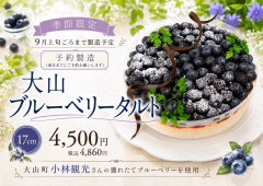 夏限定タルト.予約製造商品