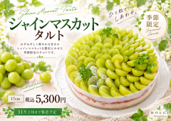 71fdeb05-e756-4b93-8990-b96dc8789e11.png